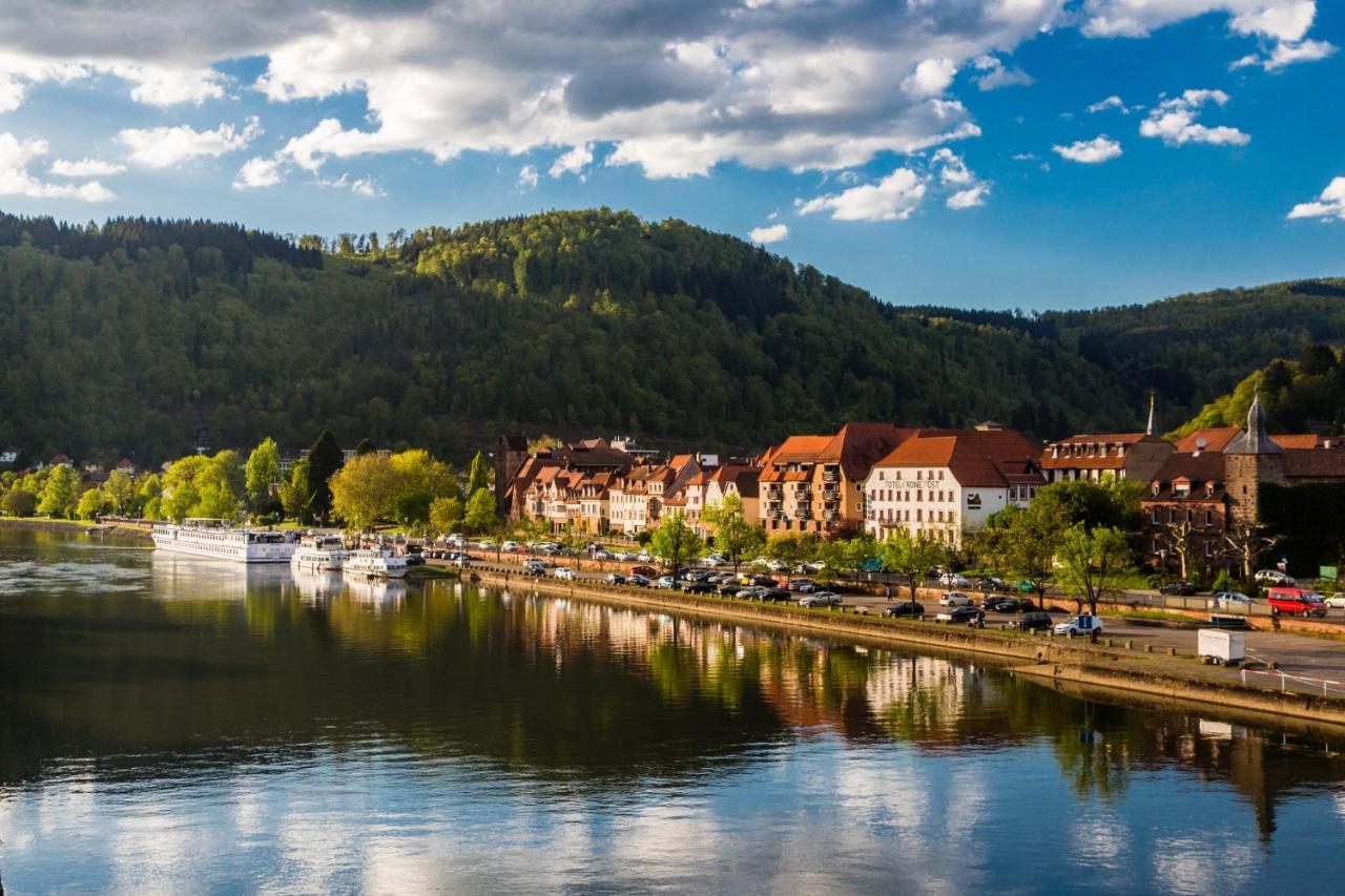 Hideaway Im Odenwald Nahe Heidelberg Apartment Eberbach  Exterior photo